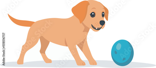 A playful golden Labrador puppy excitedly looks at a blue ball.