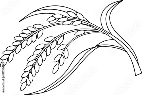 Elegant black and white vector illustration of a rice plant with grains and leaves