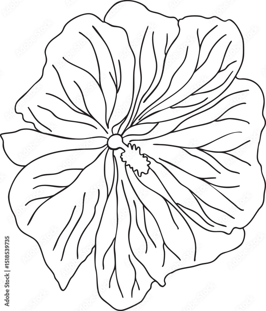 Fototapeta premium Malva plant flower outline hand-drawn illustration in minimalist style. Line art botanical sketch, doodle. Great for wedding decor, invitation, happy birthday cards, textile design, colouring books