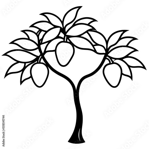 a mango tree 