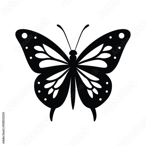 butterfly on white background