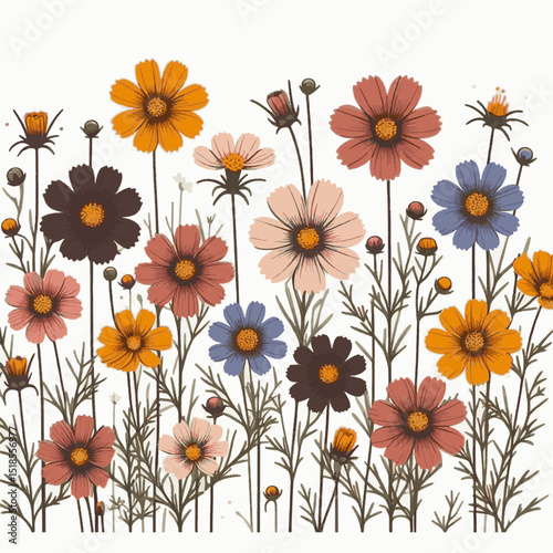 A vibrant cosmos flower arrangement against a white backdrop