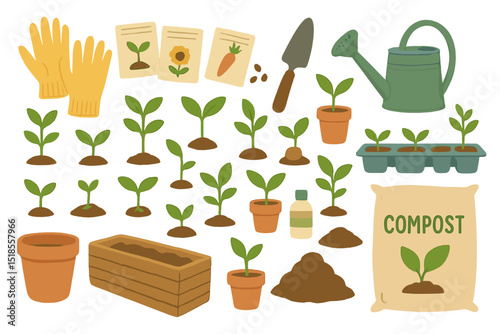 Gardening tools and seedlings arranged for planting at a home garden on a sunny afternoon