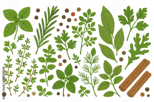 Hand-drawn culinary herb and spice set with green leaves and cinnamon