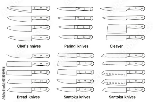 Different types of kitchen knives arranged for display and educational purposes in a simple layout