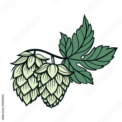 vector hop branch with leaves and two hops