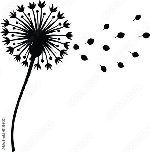Dandelion Blowing In Wind Silhouette | Windy Dandelion Seeds Flying Away