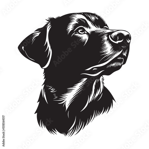 Black Dog Silhouette Design Vector Illustration
