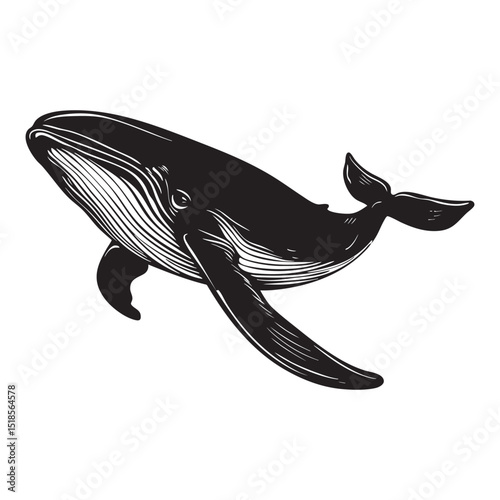 Black Flat Vector Angry Whale Silhouette