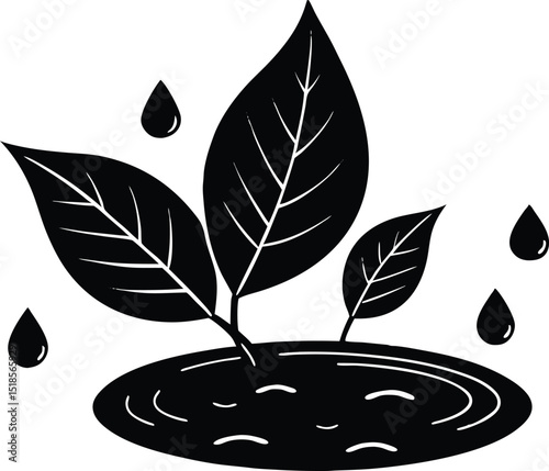 Rain Puddle And Leaves Silhouette | Wet Leaves Floating in Water
