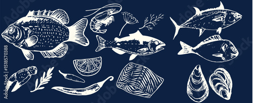 Incredible Hand Drawn Seafood Vectors