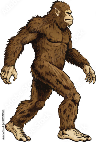 Illustration of a Brown Furry Bigfoot Walking on a White Background Representing Cryptozoology and the Mythical Creature Known as Sasquatch This digital illustration