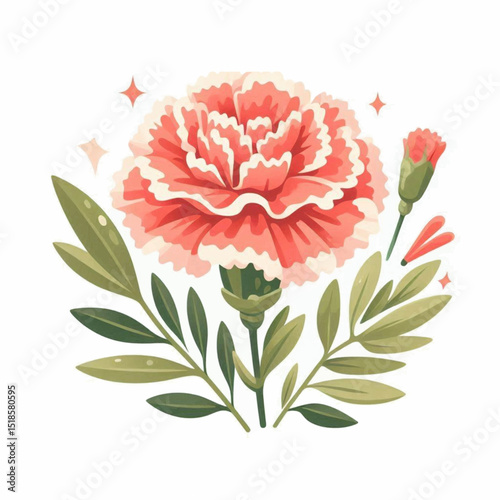 A blooming pink and white carnation flower with green leaves and a bud