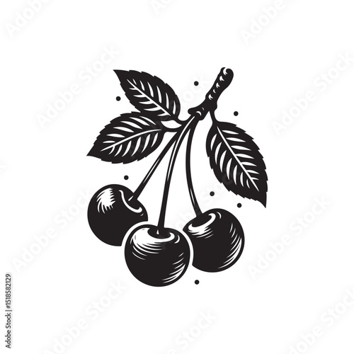 Cherry Vector (2).eps