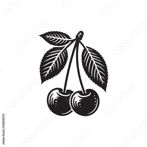 Cherry Vector (3).eps