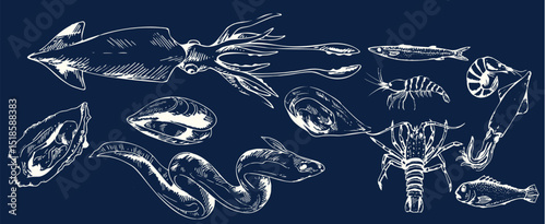 Incredible Hand Drawn Seafood Vectors