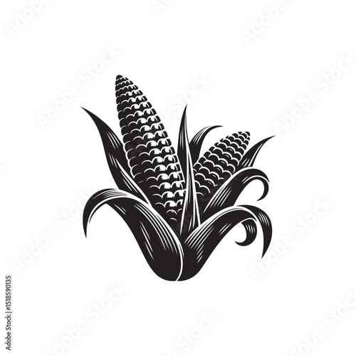 Corn Vector (4).eps