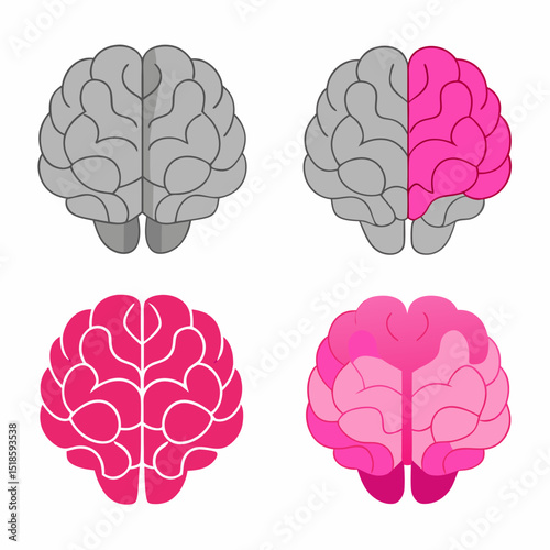 Four Brain Illustrations Gray Pink Human Anatomy Neurology