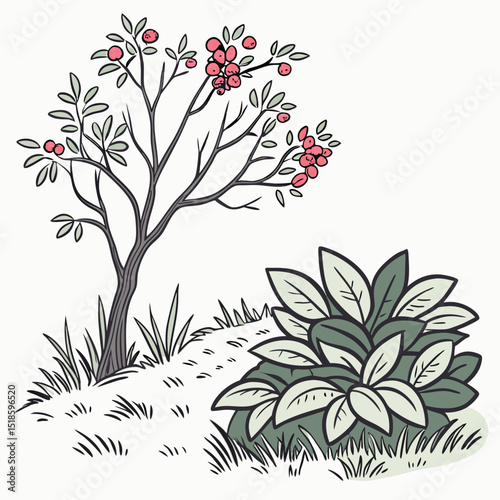 Charming botanical artwork featuring a berry tree and lush foliage perfect for nature-themed designs, branding, and logo creation