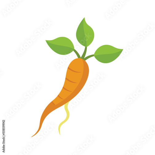 carrot with leaves