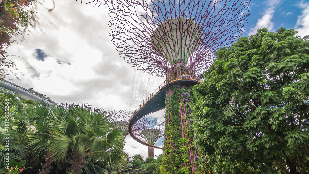 Fototapeta premium Futuristic view of amazing supertrees at Garden by the Bay timelapse hyperlapse in Singapore.