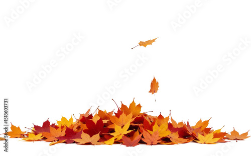 Autumn Leaves Pile , PNG 