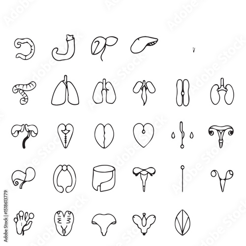 Hand drawn human organ and plant icons set