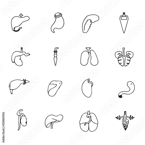 Human internal organs line art icon set
