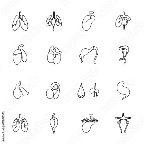 Human internal organs icon set black and white