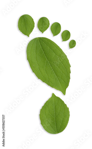 Human footprint made of green leaves on white background, top view. Environmental care, ecology protection, reducing CO2 emission