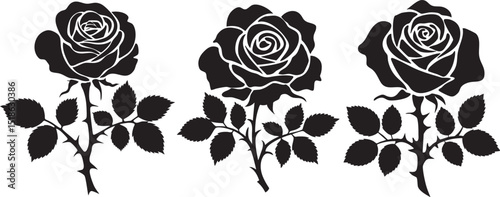 Three Black Rose Stems with Leaves and Thorns in a Row Isolated on White Background silhouette This image