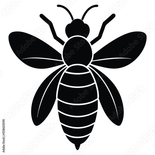 vector illustration of a bee