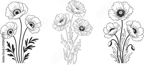 Elegant Poppy Flower Arrangements in Black and White Line Art Style Silhouette Three distinct arrangements poppy flowers are