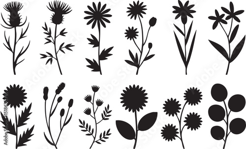 Botanical Illustrations A Collection of Diverse Floral Silhouettes Against White Background Featuring Thistle and Daisy Like Forms silhouette