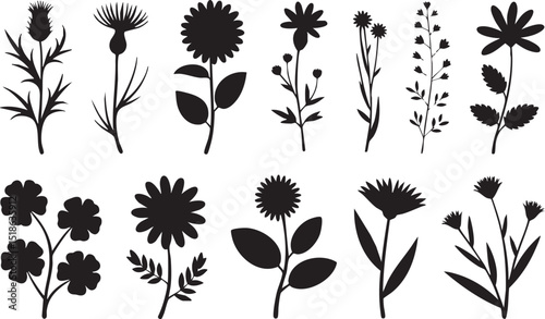 Diverse Collection of Floral and Botanical Silhouettes on White Background Featuring Various Wildflowers silhouette This image showcases collection