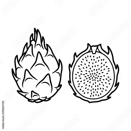 Dragon Fruit Whole and Half Outline Drawing
