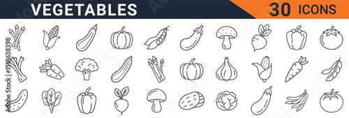 Vegetable icon set line art style vector illustration healthy food design elements for graphic design