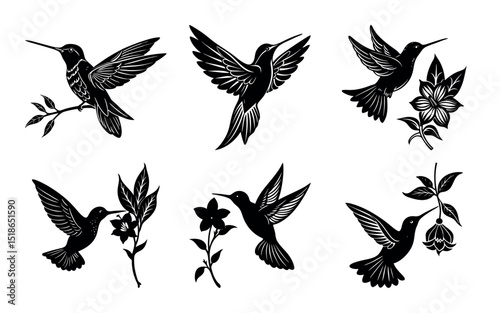 humming bird silhouette