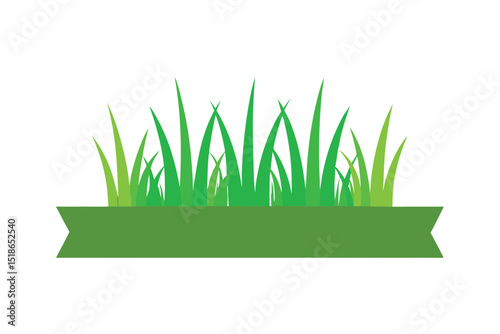 green grass on white background