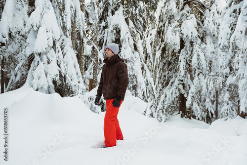 Conifer trees are standing tall in mountain forest under snow with snowdrift mound forming behind