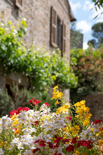 Fototapeta Naklejka Na Ścianę i Meble -  Colourful flowers in containers on a small side street in the characterful Tuscan hilltop medieval town of Monticchiello, in Southern Tuscany, Italy.