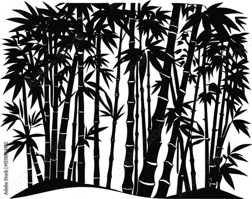 Bamboo Grove Silhouette | Tranquil Bamboo Forest Scene