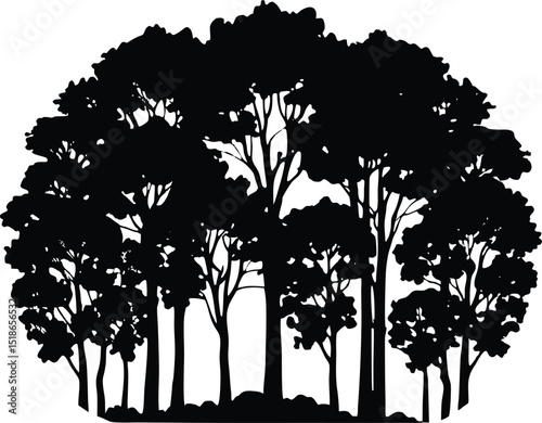 Eucalyptus Tree Grove Silhouette | Calm Eucalyptus Tree Scene