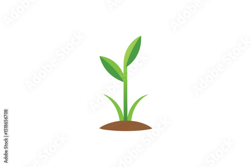 young plant in a flowerpot