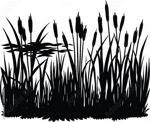 Wetlands With Reeds Silhouette | Reed Marsh Habitat Design