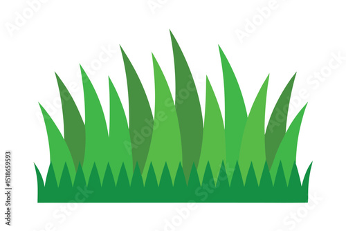 green grass on white background