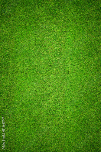 Grass background top view - aerial image of freshly cut, healthy, green grass field as a backdrop texture.