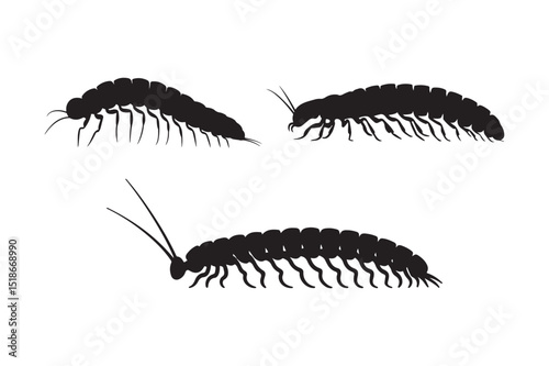 Millipede Insect Silhouette Clipart Black Creepy Crawly Vector Illustration