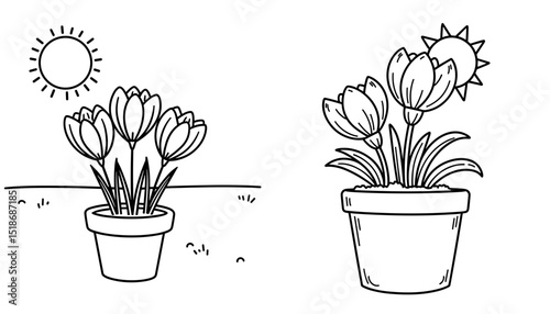 Outline of spring flowers in pots with sun for kids coloring book  