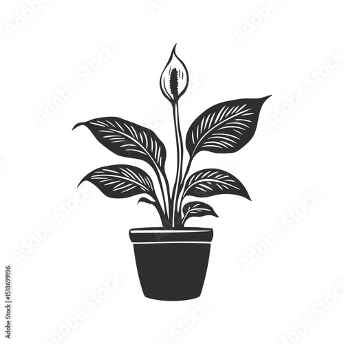 Potted Peace Lily Plant Silhouette Illustration. Botanical Decor And Indoor Plant Care Concept. Isolated Vector Illustration